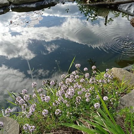 Il Giardino Segreto Leilighet Beura Eksteriør bilde
