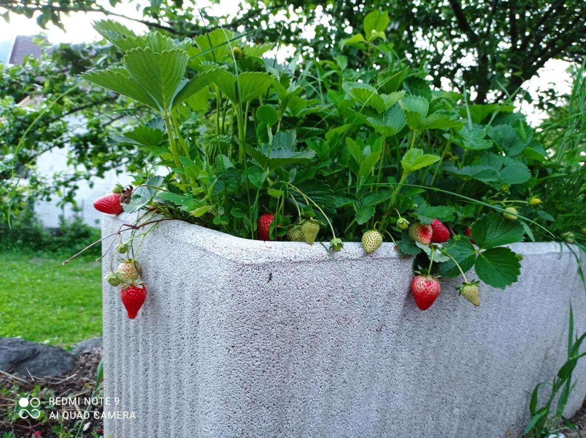 Il Giardino Segreto Leilighet Beura Eksteriør bilde