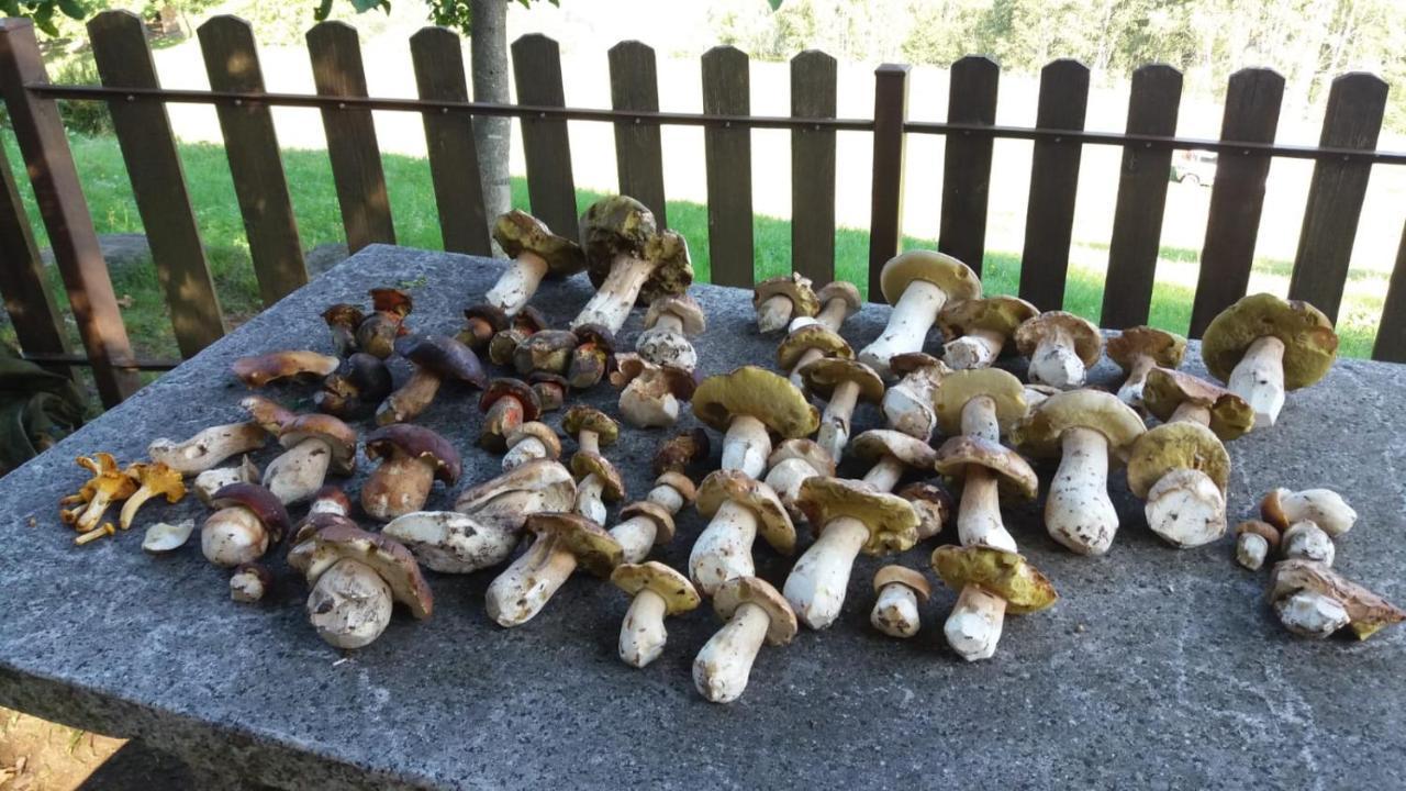 Il Giardino Segreto Leilighet Beura Eksteriør bilde